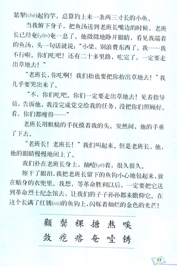 人教版五年级语文下册金色的鱼钩(6)