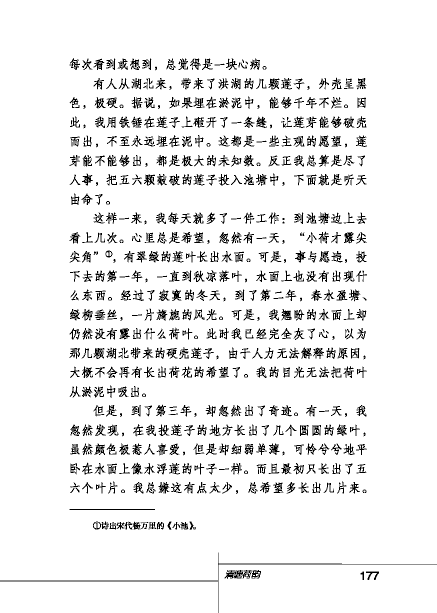 北師版八年級下冊語文課本清塘荷韻