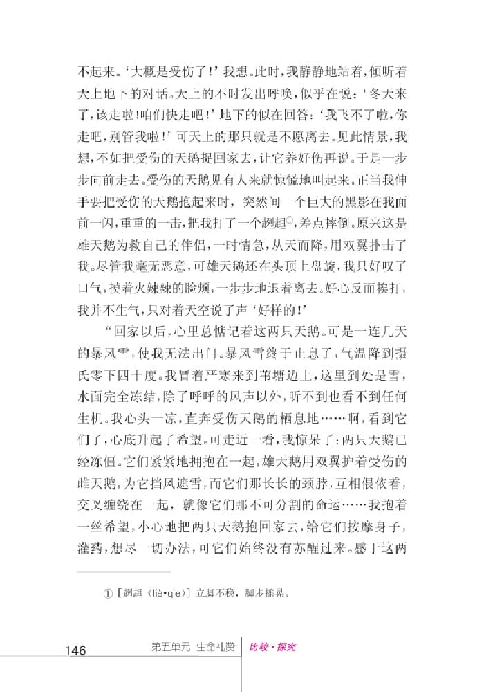 北師版七年級上冊語文課本天鵝的故事