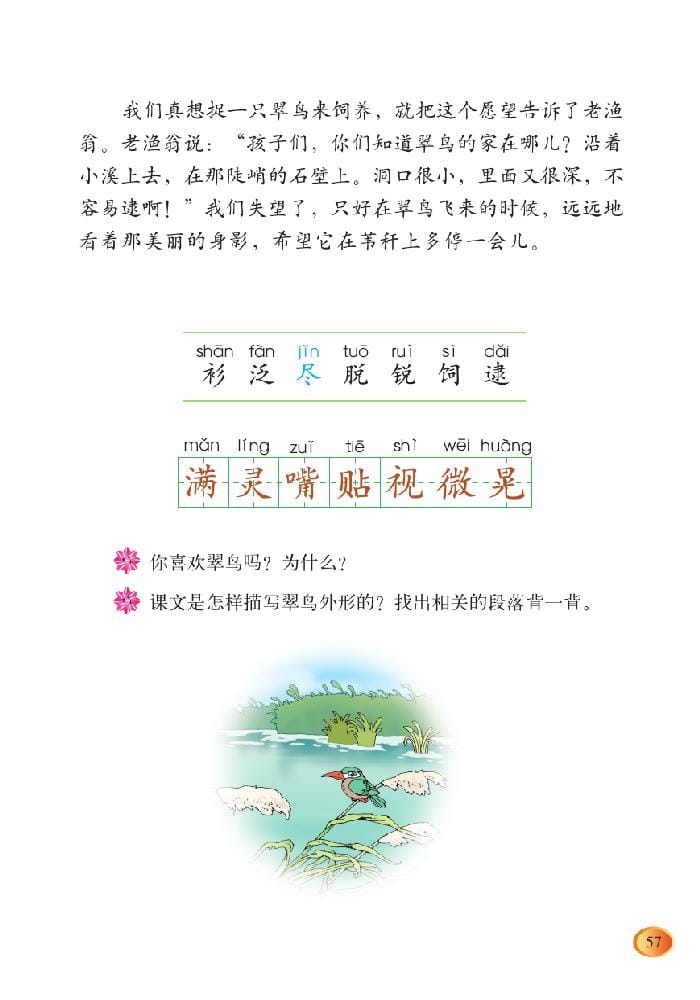 翠鸟的图片 课文图片